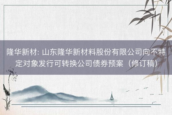 隆华新材: 山东隆华新材料股份有限公司向不特定对象发行可转换公司债券预案（修订稿）