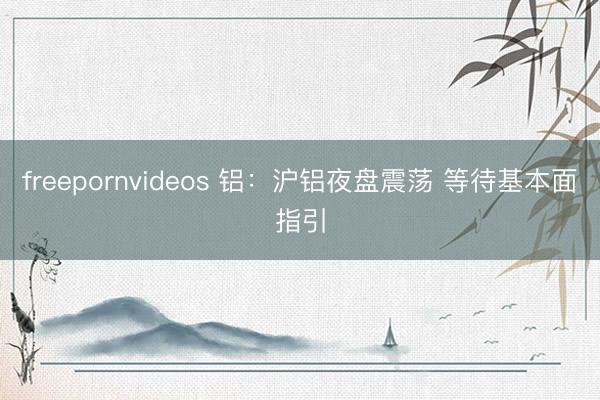 freepornvideos 铝：沪铝夜盘震荡 等待基本面指引
