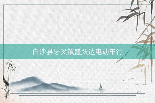 白沙县牙叉镇盛跃达电动车行