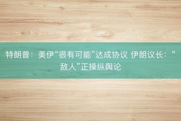 特朗普：美伊“很有可能”达成协议 伊朗议长：“敌人”正操纵舆论