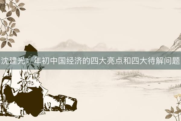 沈建光：年初中国经济的四大亮点和四大待解问题