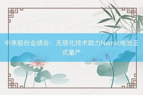 中来股份业绩会：无银化技术助力Namic电池正式量产