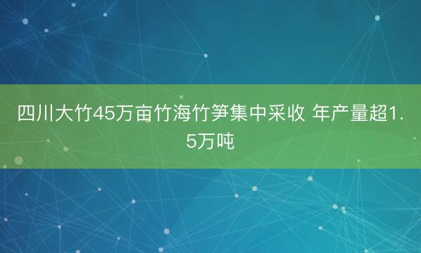 四川大竹45万亩竹海竹笋集中采收 年产量超1.5万吨