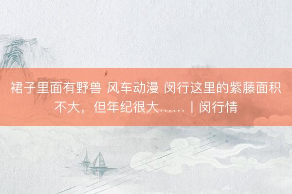 裙子里面有野兽 风车动漫 闵行这里的紫藤面积不大，但年纪很大……丨闵行情