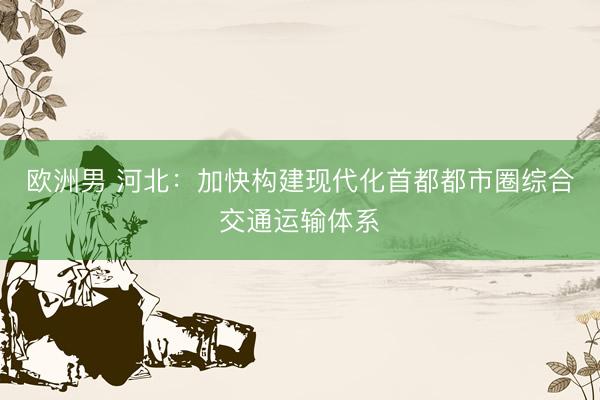 欧洲男 河北：加快构建现代化首都都市圈综合交通运输体系