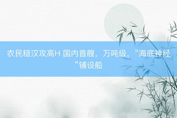 农民糙汉攻高H 国内首艘，万吨级，“海底神经”铺设船