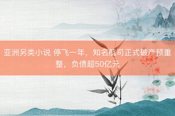 亚洲另类小说 停飞一年，知名航司正式破产预重整，负债超50亿元
