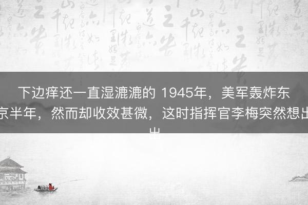 下边痒还一直湿漉漉的 1945年，美军轰炸东京半年，然而却收效甚微，这时指挥官李梅突然想出