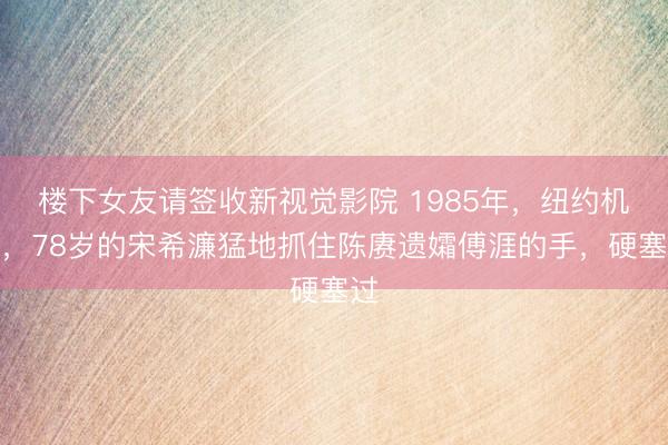楼下女友请签收新视觉影院 1985年，纽约机场，78岁的宋希濂猛地抓住陈赓遗孀傅涯的手，硬塞过