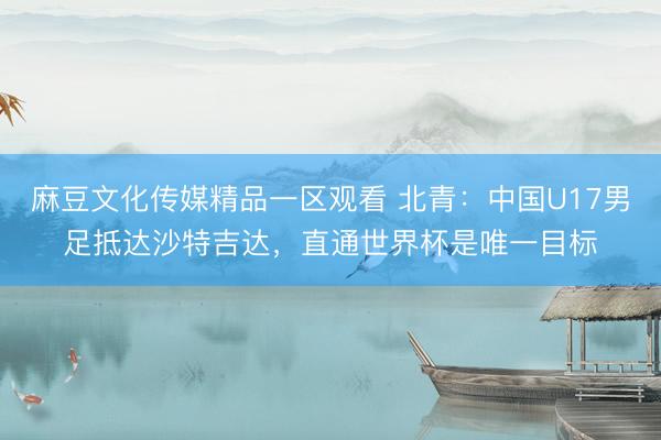 麻豆文化传媒精品一区观看 北青：中国U17男足抵达沙特吉达，直通世界杯是唯一目标