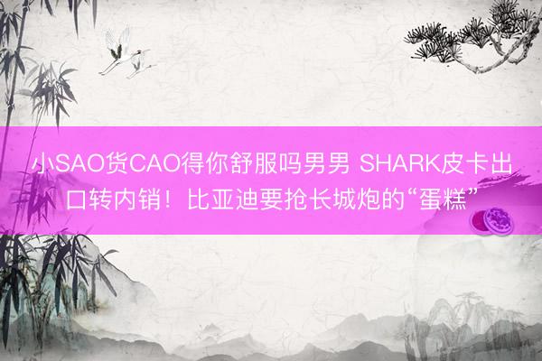 小SAO货CAO得你舒服吗男男 SHARK皮卡出口转内销！比亚迪要抢长城炮的“蛋糕”
