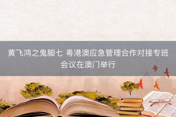 黄飞鸿之鬼脚七 粤港澳应急管理合作对接专班会议在澳门举行