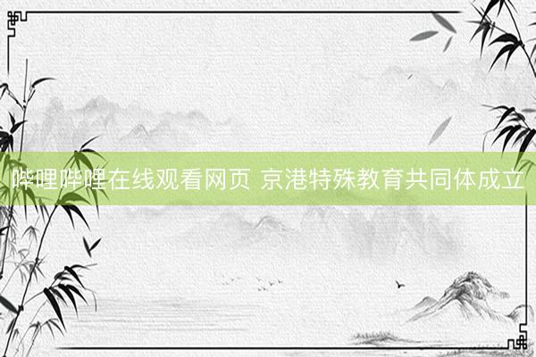 哔哩哔哩在线观看网页 京港特殊教育共同体成立