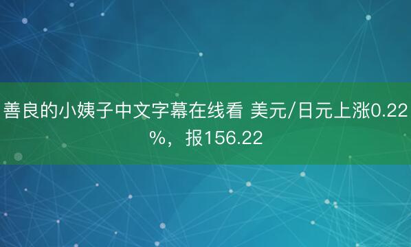 善良的小姨子中文字幕在线看 美元/日元上涨0.22%，报156.22