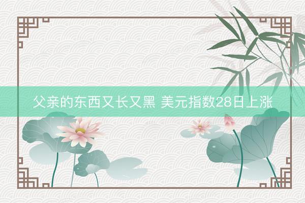 父亲的东西又长又黑 美元指数28日上涨