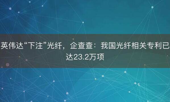 英伟达“下注”光纤，企查查：我国光纤相关专利已达23.2万项