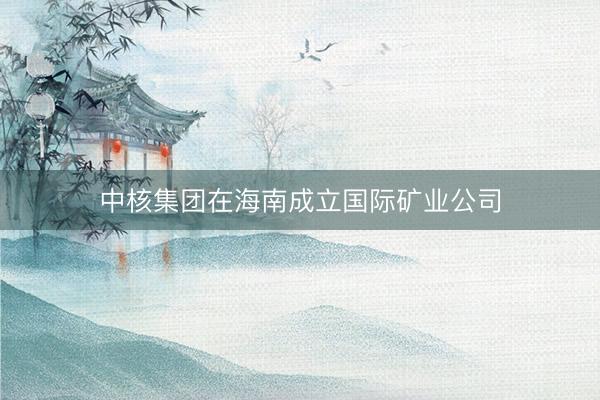 中核集团在海南成立国际矿业公司