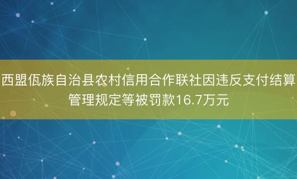 西盟佤族自治县农村信用合作联社因违反支付结算管理规定等被罚款16.7万元
