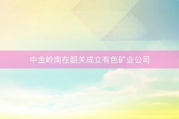 中金岭南在韶关成立有色矿业公司