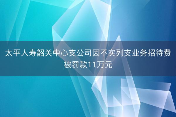 太平人寿韶关中心支公司因不实列支业务招待费被罚款11万元