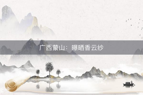 广西蒙山：曝晒香云纱