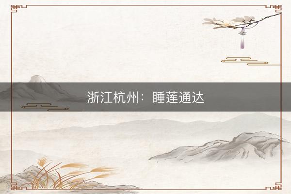 浙江杭州：睡莲通达