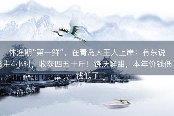 休渔期“第一鲜”，在青岛大王人上岸：有东说念主4小时，收获四五十斤！饶沃鲜甜，本年价钱低了