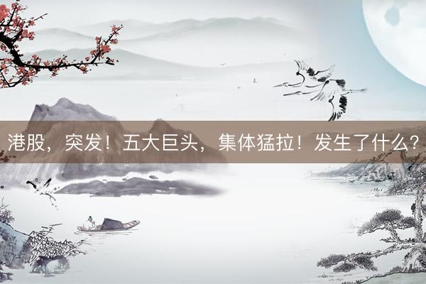 港股，突发！五大巨头，集体猛拉！发生了什么？