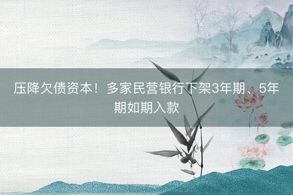 压降欠债资本！多家民营银行下架3年期、5年期如期入款