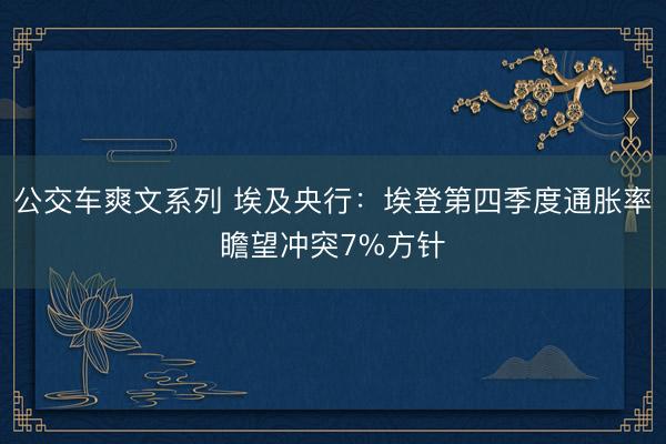 公交车爽文系列 埃及央行：埃登第四季度通胀率瞻望冲突7%方针