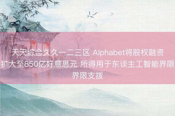 天天综合久久一二三区 Alphabet将股权融资限制扩大至850亿好意思元 所得用于东谈主工智能界限支拨