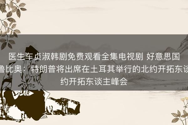 医生车贞淑韩剧免费观看全集电视剧 好意思国国务卿鲁比奥：特朗普将出席在土耳其举行的北约开拓东谈主峰会