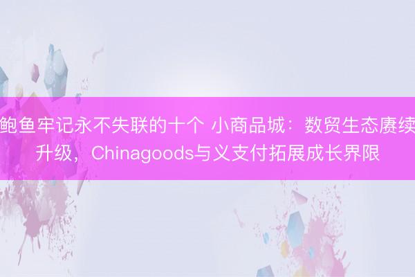 鲍鱼牢记永不失联的十个 小商品城：数贸生态赓续升级，Chinagoods与义支付拓展成长界限