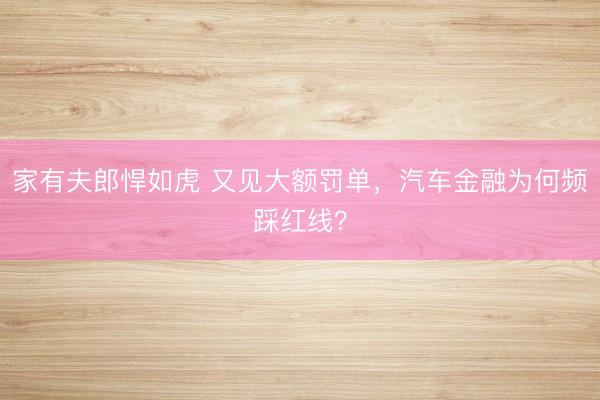 家有夫郎悍如虎 又见大额罚单，汽车金融为何频踩红线？