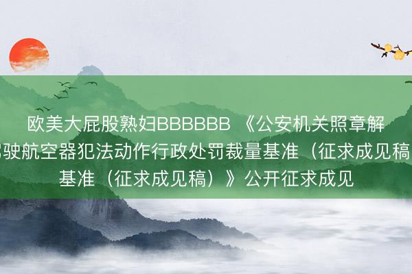 欧美大屁股熟妇BBBBBB 《公安机关照章解决涉无东说念主驾驶航空器犯法动作行政处罚裁量基准（征求成见稿）》公开征求成见
