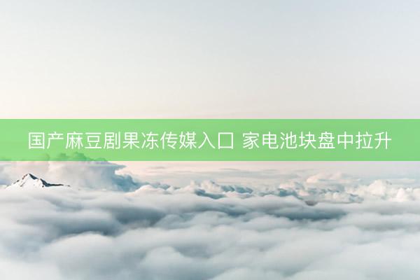国产麻豆剧果冻传媒入囗 家电池块盘中拉升