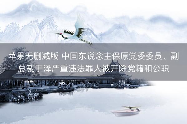 苹果无删减版 中国东说念主保原党委委员、副总裁于泽严重违法罪人被开除党籍和公职