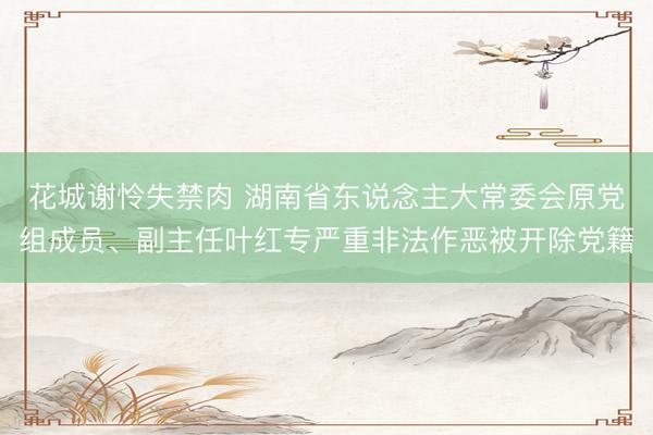 花城谢怜失禁肉 湖南省东说念主大常委会原党组成员、副主任叶红专严重非法作恶被开除党籍