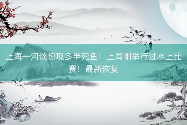 上海一河谈惊现多半死鱼！上周刚举行过水上比赛！最新恢复