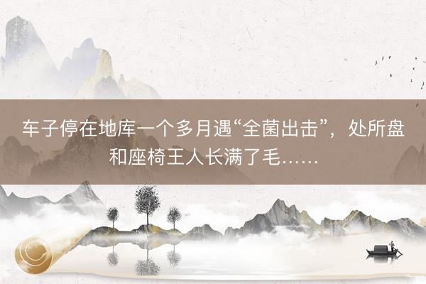 车子停在地库一个多月遇“全菌出击”，处所盘和座椅王人长满了毛……