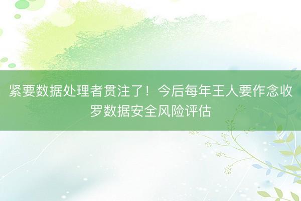 紧要数据处理者贯注了！今后每年王人要作念收罗数据安全风险评估