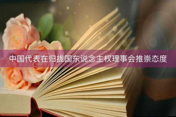 中国代表在归拢国东说念主权理事会推崇态度