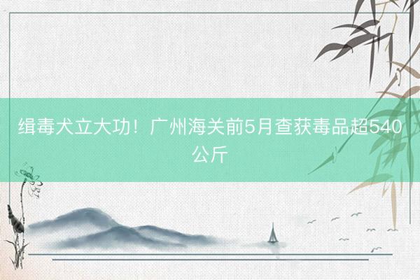 缉毒犬立大功！广州海关前5月查获毒品超540公斤